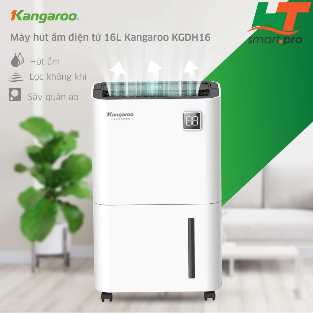 Máy hút ẩm Kangaroo KGDH16