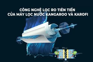 Máy lọc nước Karofi và Kangaroo